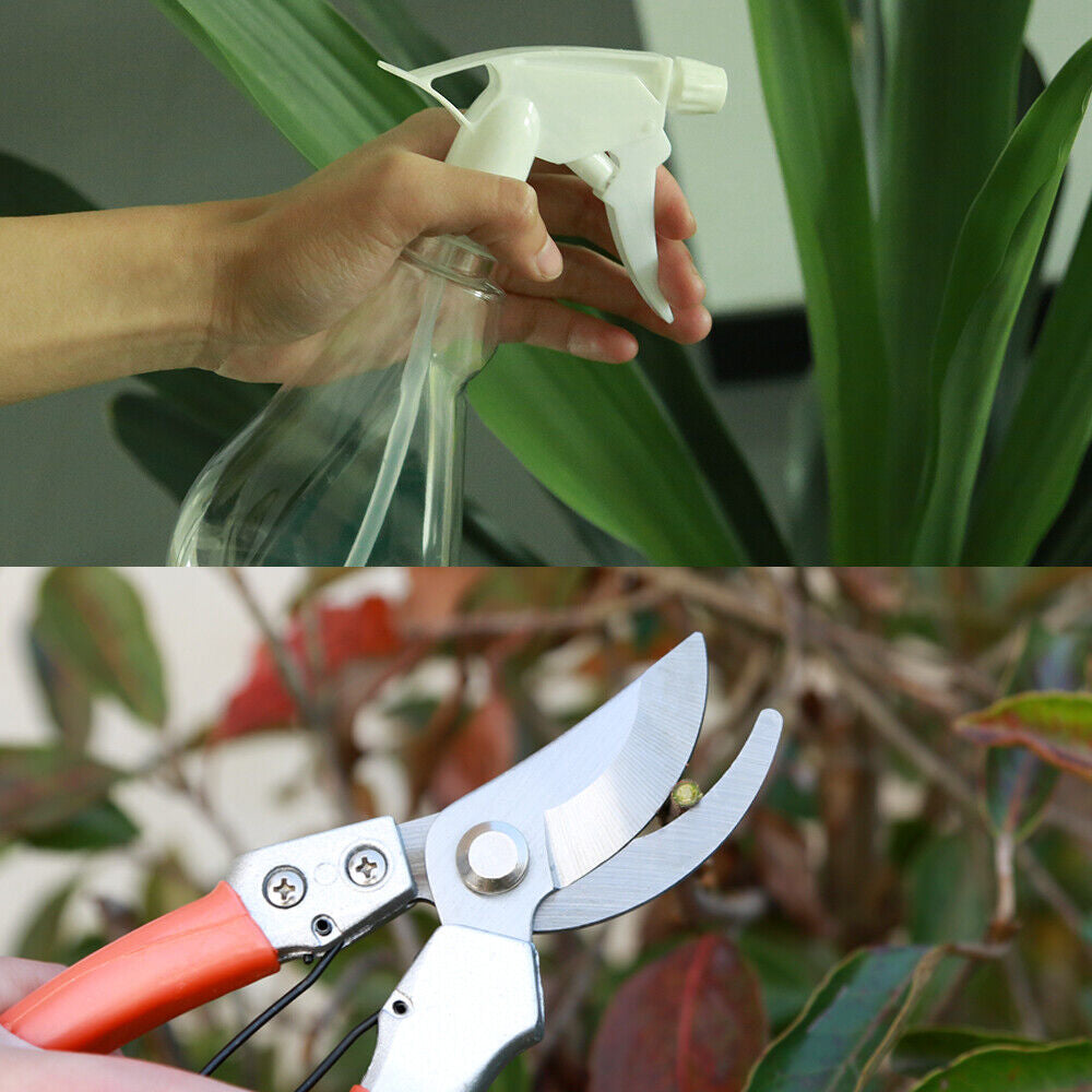 9-Piece Stainless Steel Gardening Tool Set Gift Kit