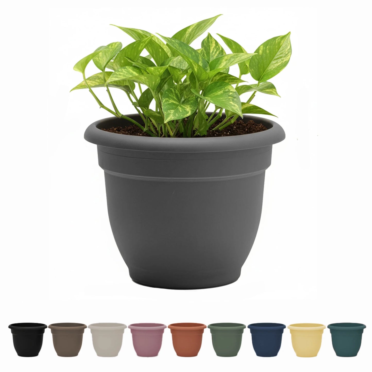 Ariana 16-Inch Self-Watering Plastic Planter with Rolled Rim for Indoor and Outdoor Use, Charcoal