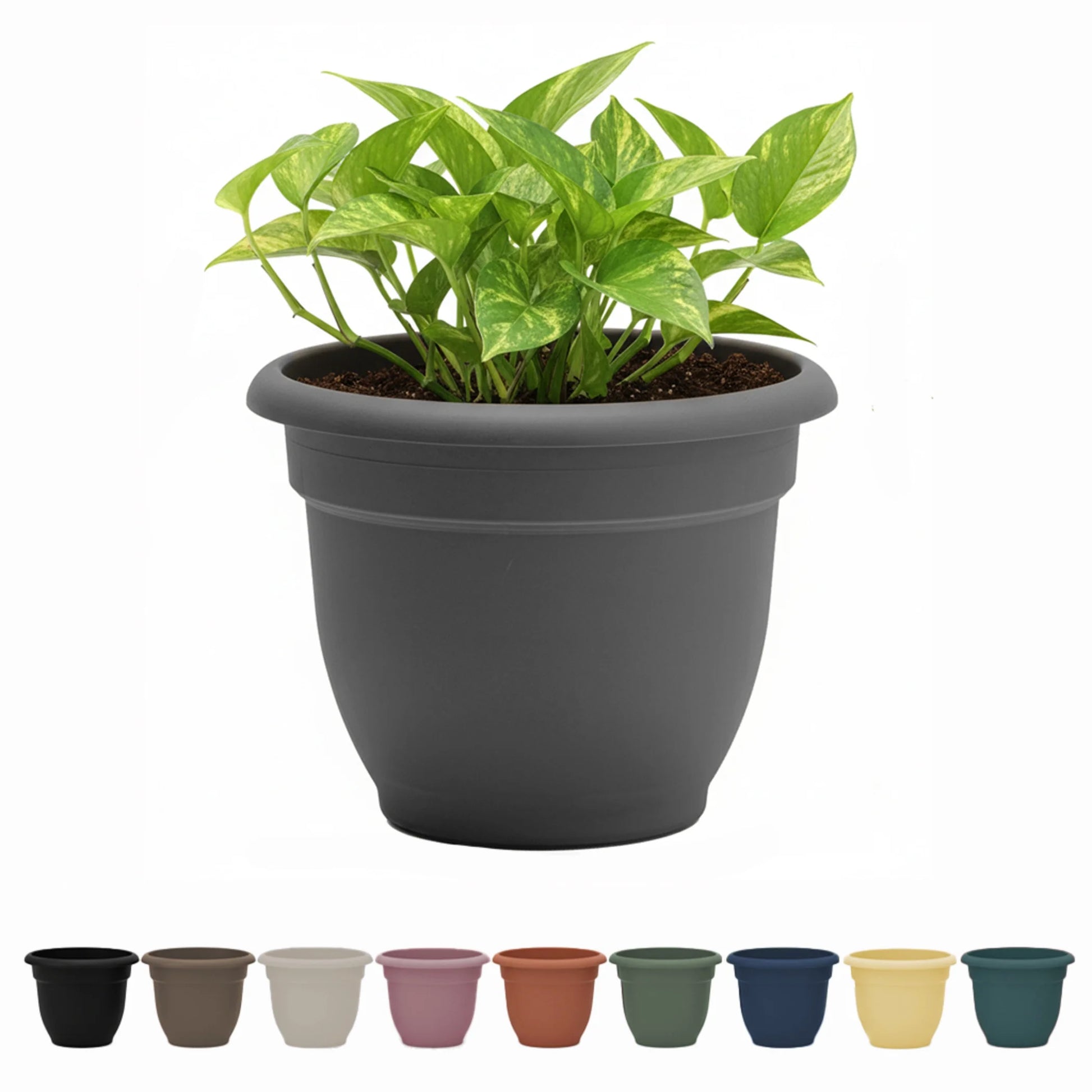 Ariana 16-Inch Self-Watering Plastic Planter with Rolled Rim for Indoor and Outdoor Use, Charcoal