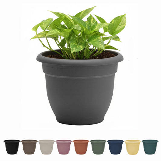 Ariana 16-Inch Self-Watering Plastic Planter with Rolled Rim for Indoor and Outdoor Use, Charcoal