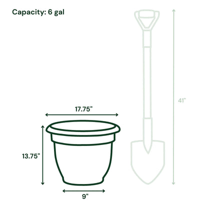 Ariana 16-Inch Self-Watering Plastic Planter with Rolled Rim for Indoor and Outdoor Use, Charcoal